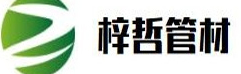 大玩家app